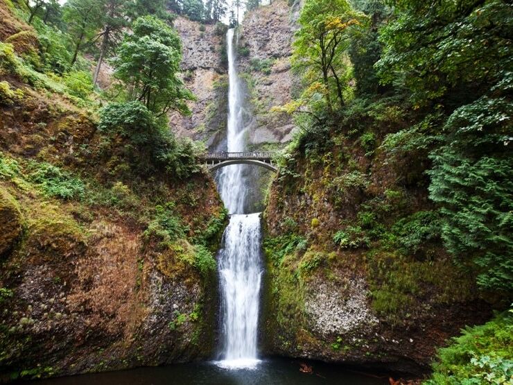 Picture of Multnomah Falls
