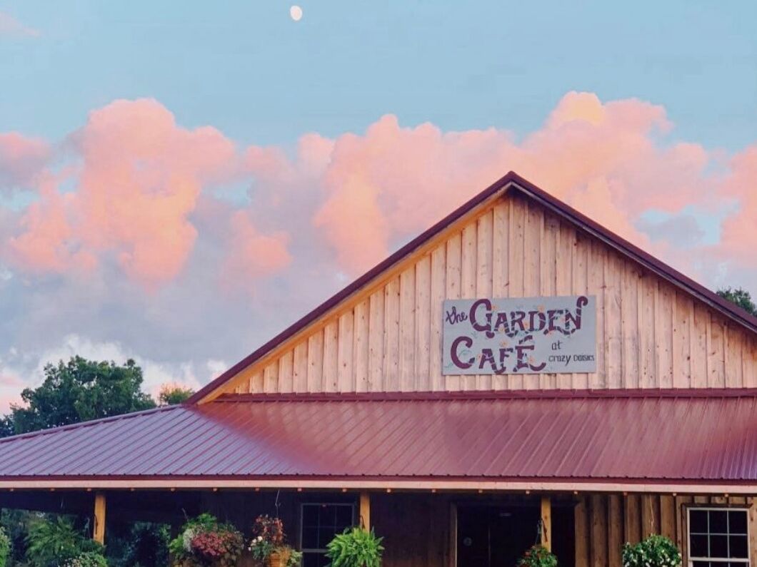 Picture of Crazy Daisies Flowers & Garden Cafe
