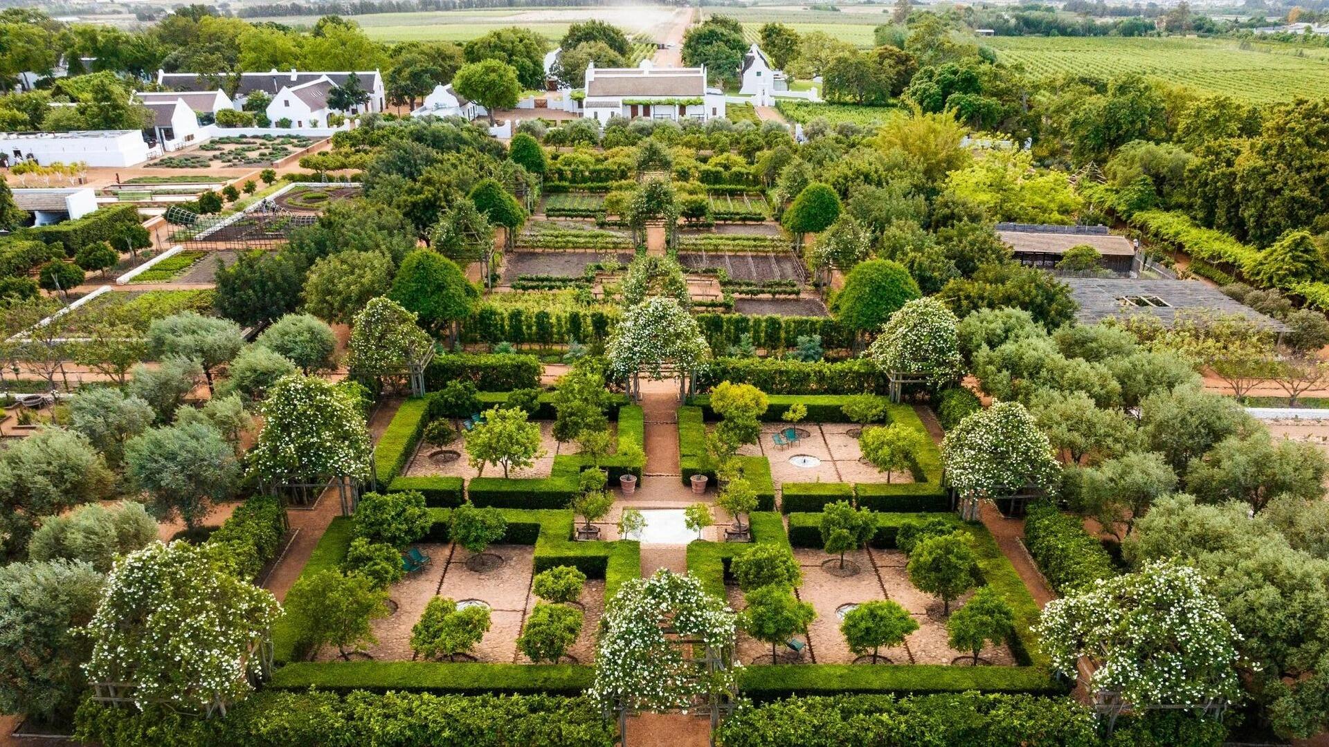 Picture of Babylonstoren