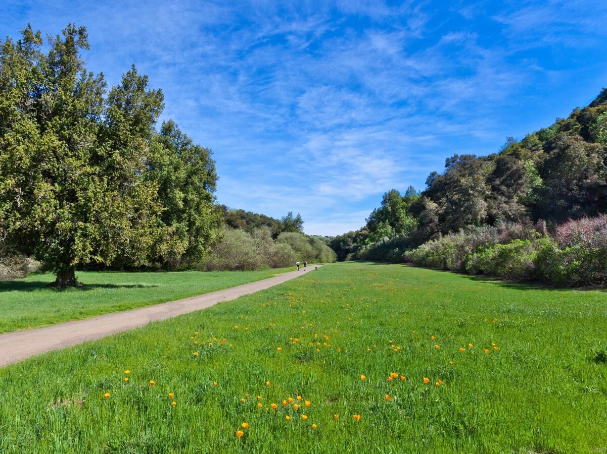 Picture of Rancho San Antonio County Park & Open Space Preserve
