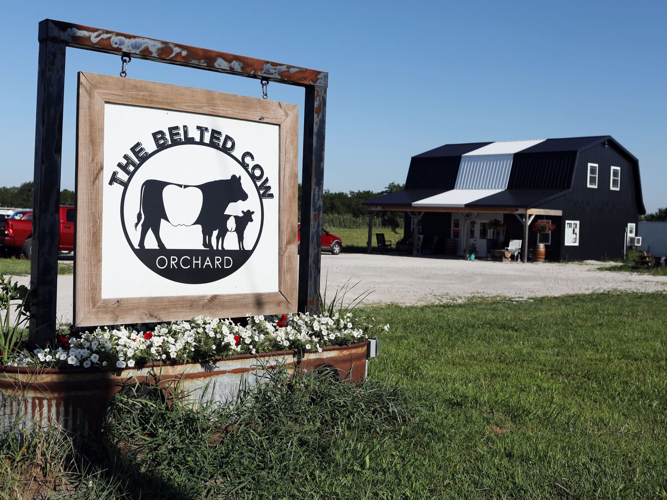 Picture of The Belted Cow Orchard