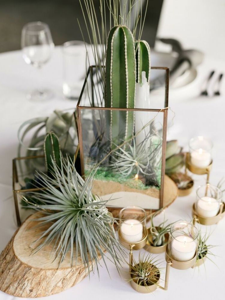 centerpiece with cacti and air plants