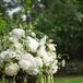 White Hydrangea and Rose Ceremony Flowers
