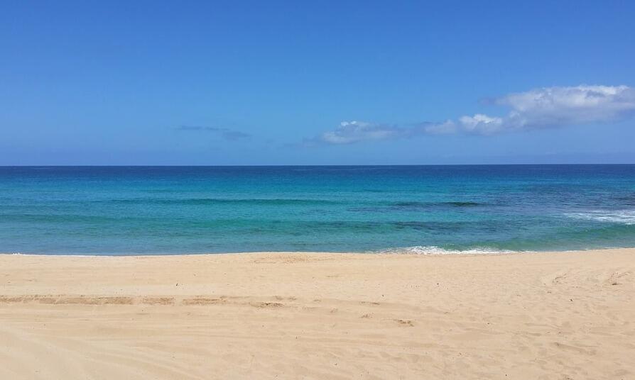 Picture of Barking Sands Beach 