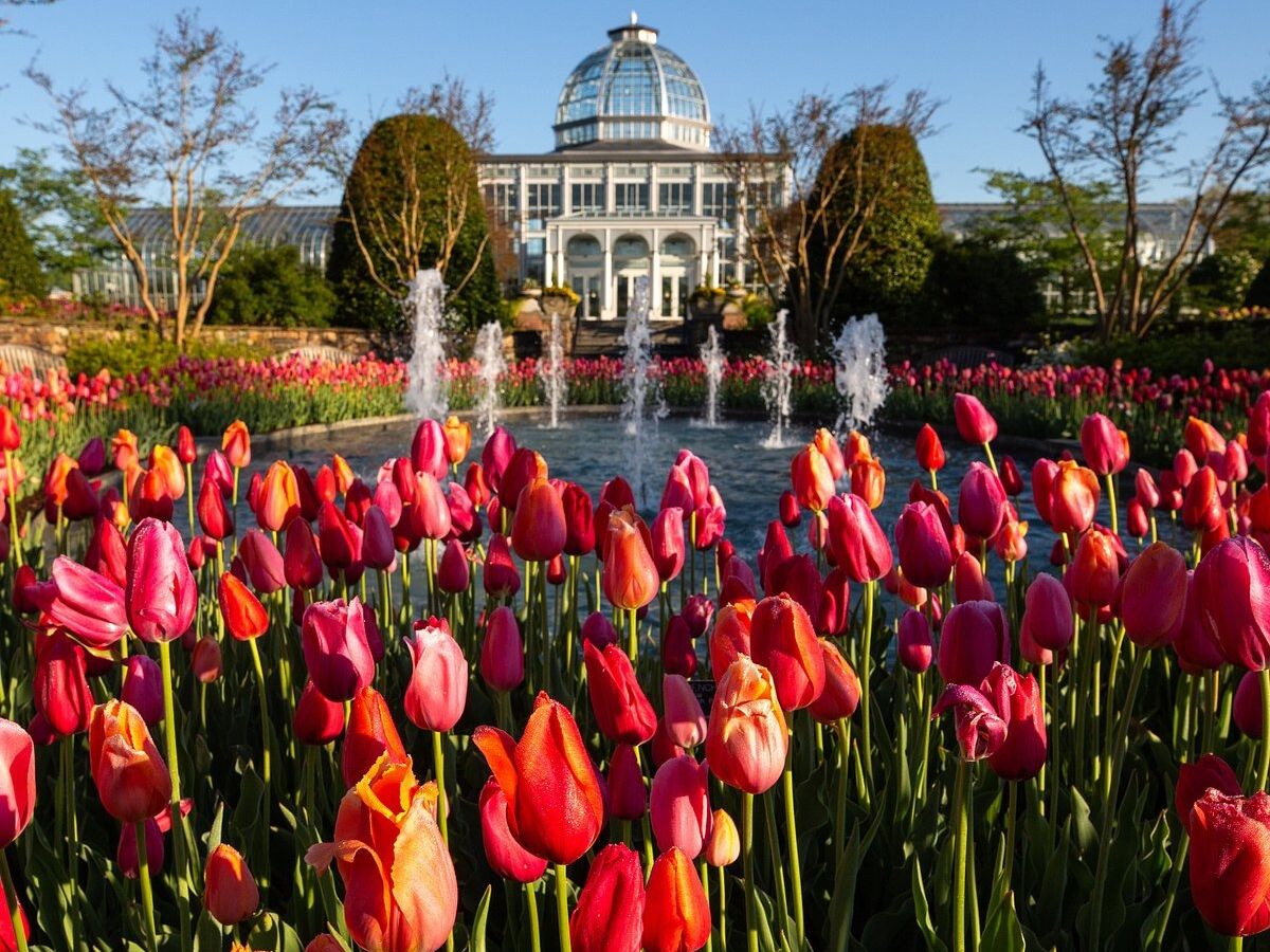 Picture of Lewis Ginter Botanical Garden