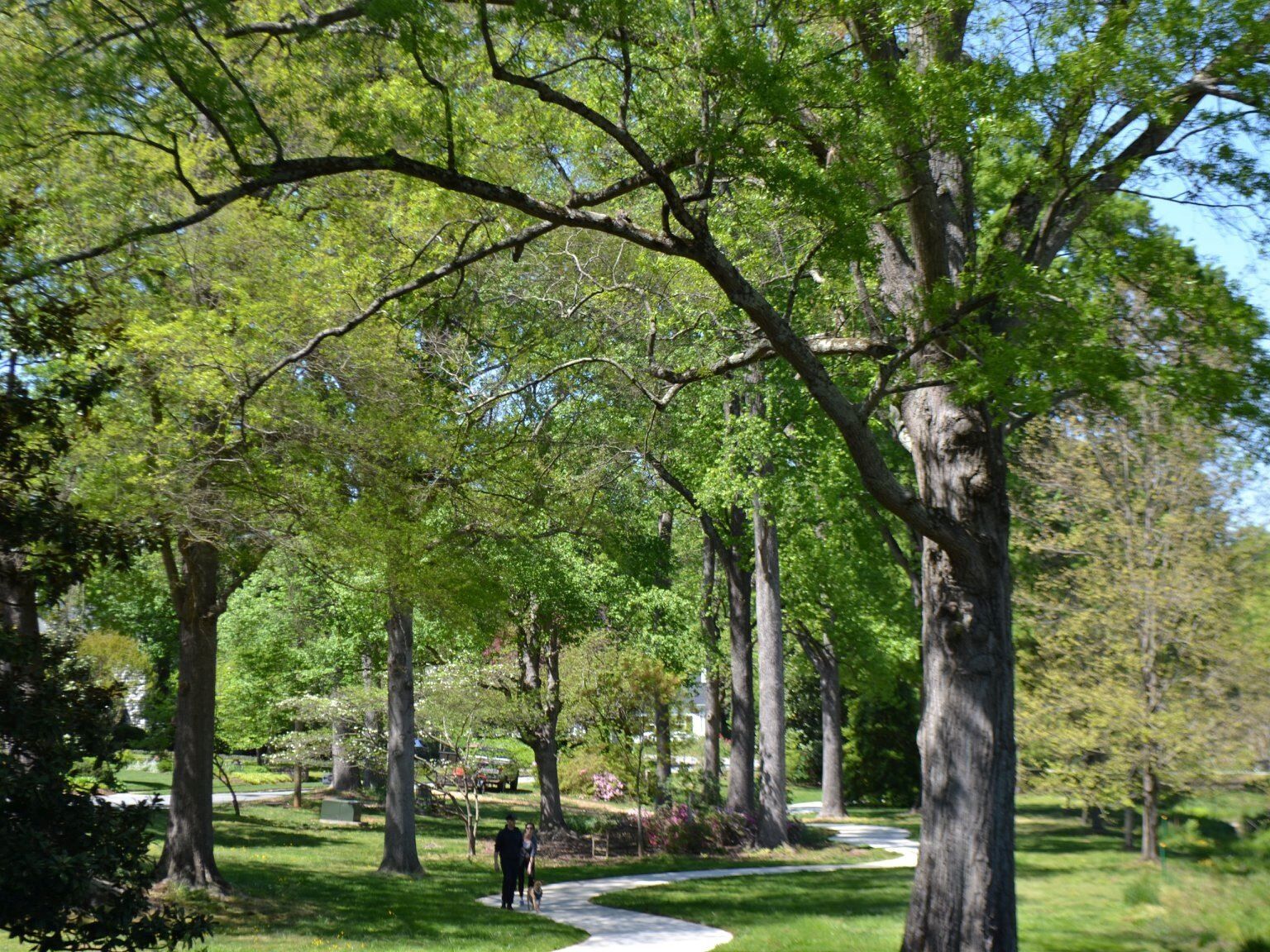Picture of Burlington Arboretum