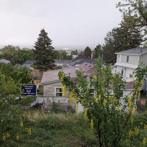 Gallery Photo 4
