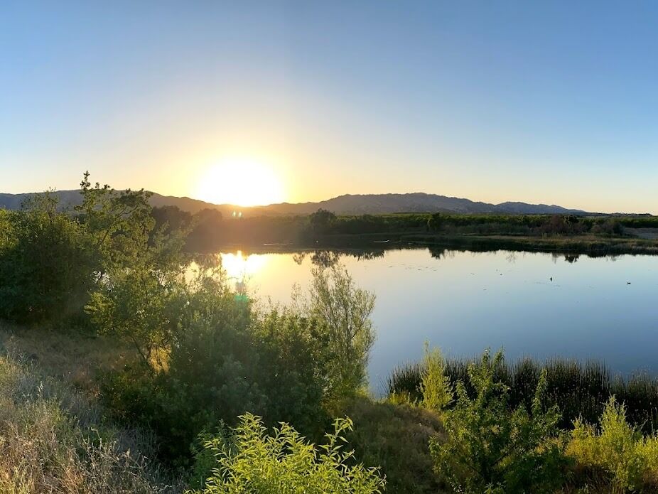Picture of Lake Solano County Park