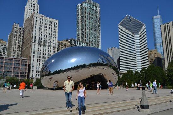 Picture of The Bean 