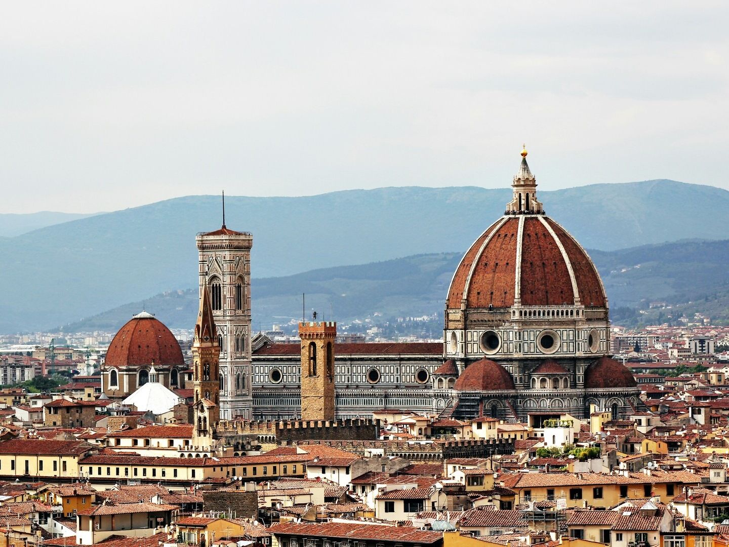 Picture of Florence (1 hour)