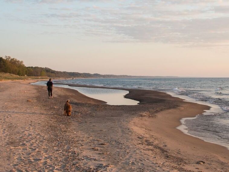 Picture of Weko Beach