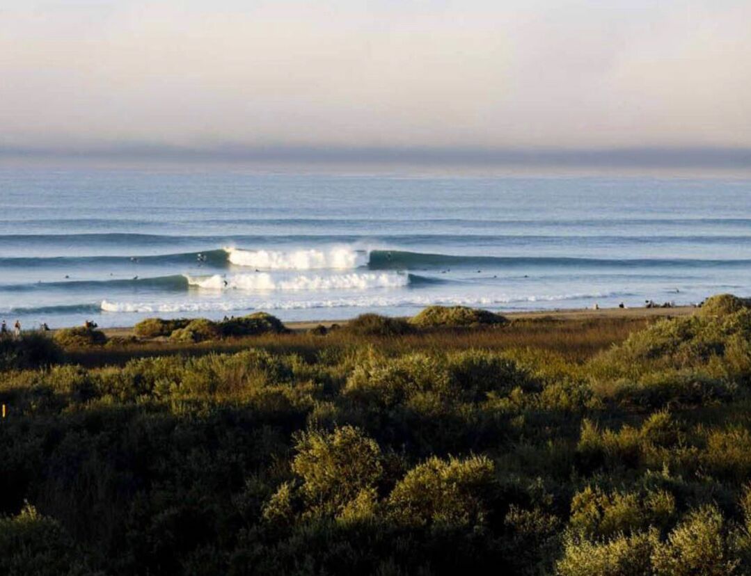 Picture of Trestles Surfing Area