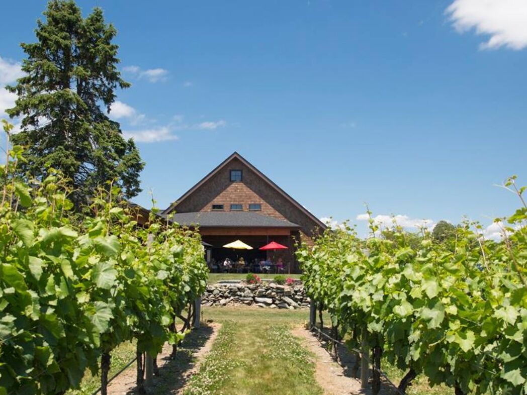 Picture of Newport Vineyards