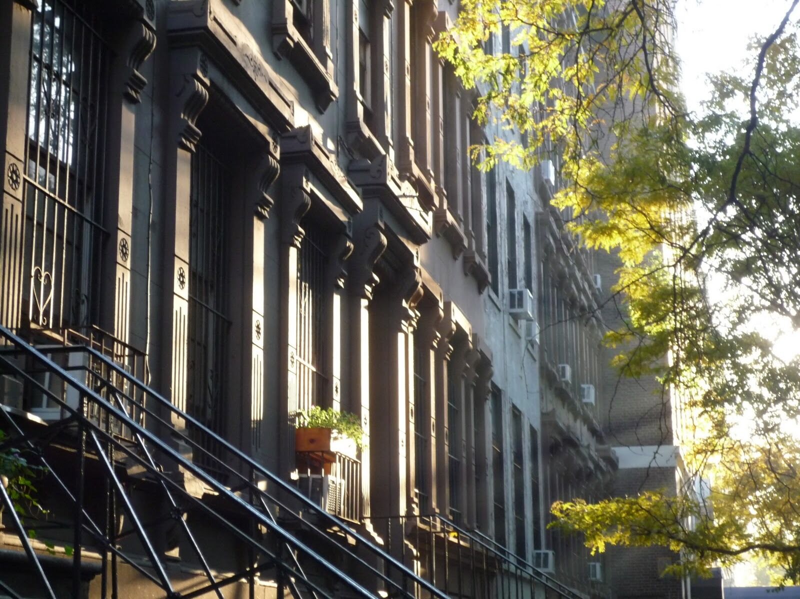Picture of Brunch & Books on the Upper West Side 