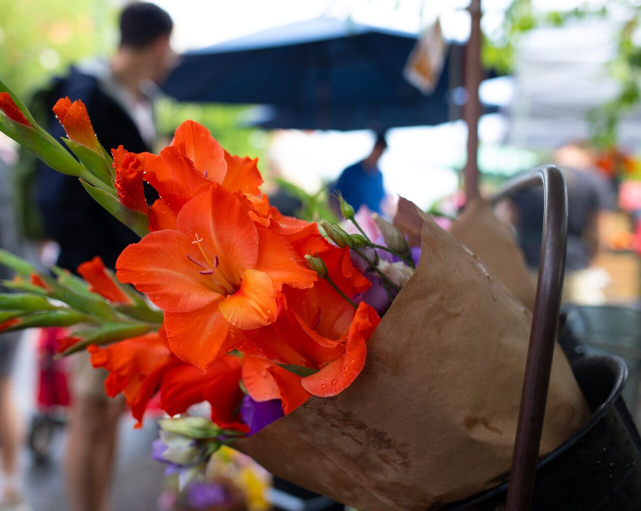 Picture of Fayetteville Farmers' Market