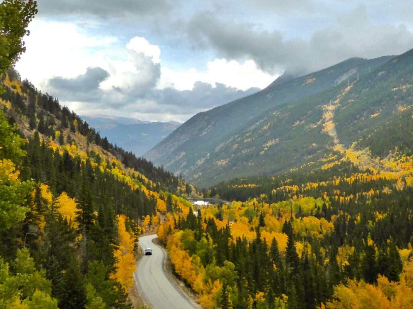 Picture of Colorado Fall Colors Drive