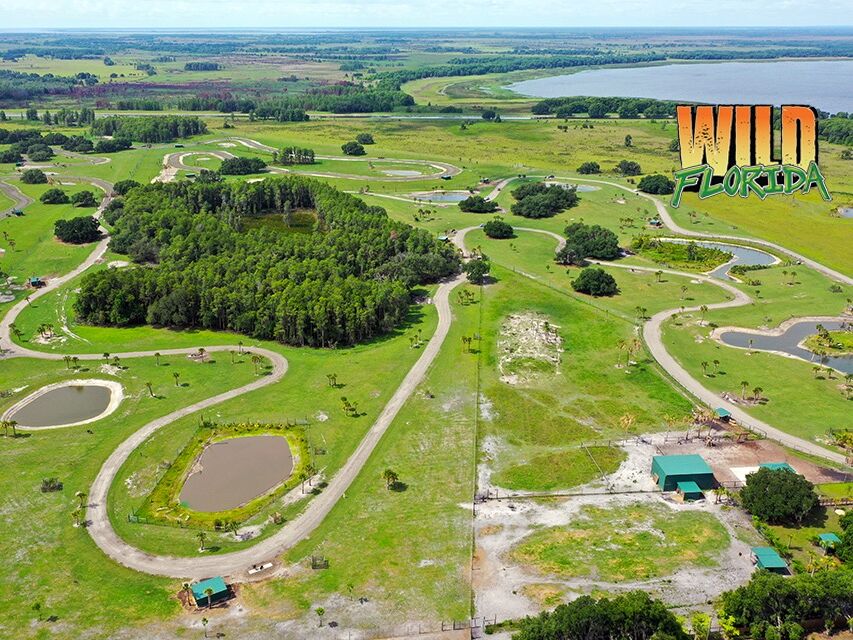 Picture of Wild Florida Drive-thru Safari Park