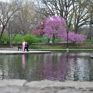 Gallery Photo 15