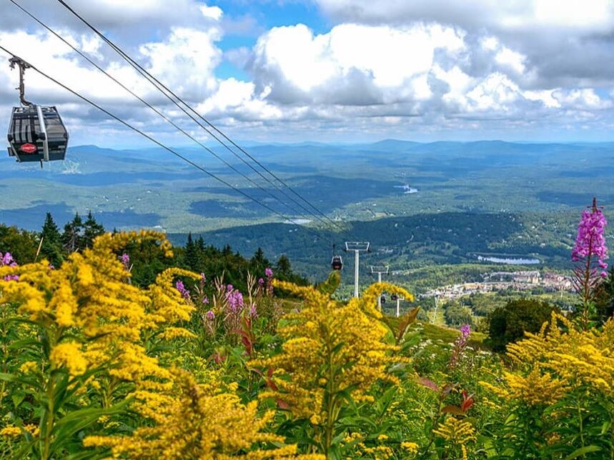 Picture of Stratton Mountain Resort Scenic Lift Ride