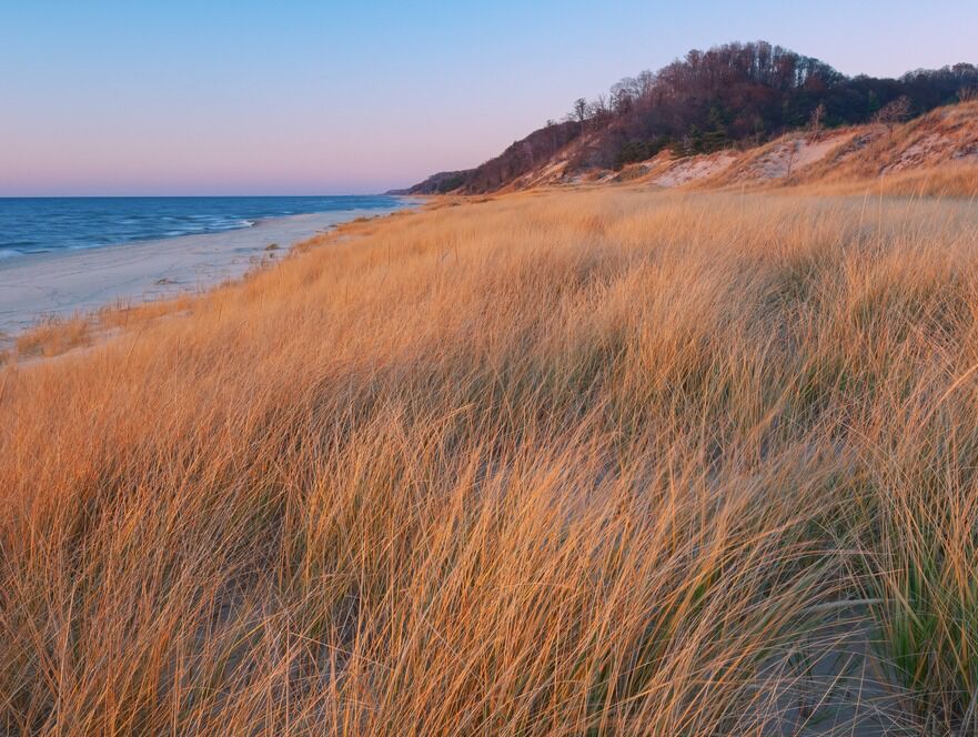 Picture of Saugatuck State Park Hike