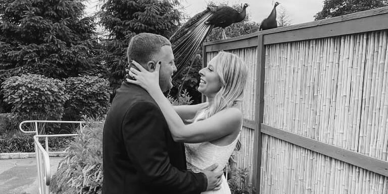Cassidy & Daniel Home Page Banner