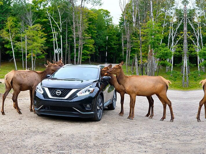 Picture of Omega Park