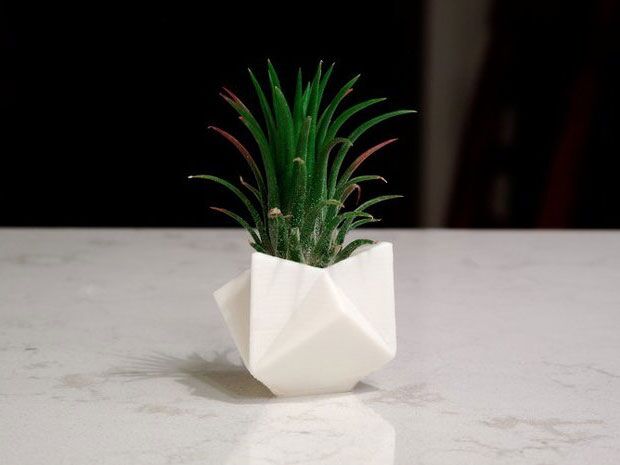 cube planter