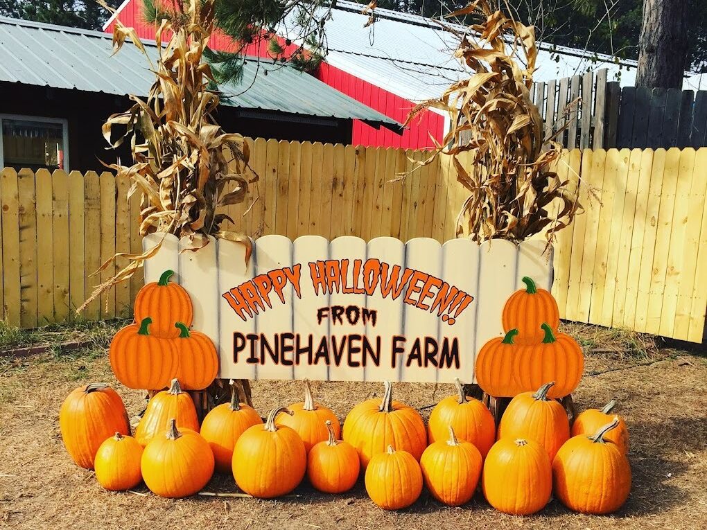 Picture of Pinehaven Farm