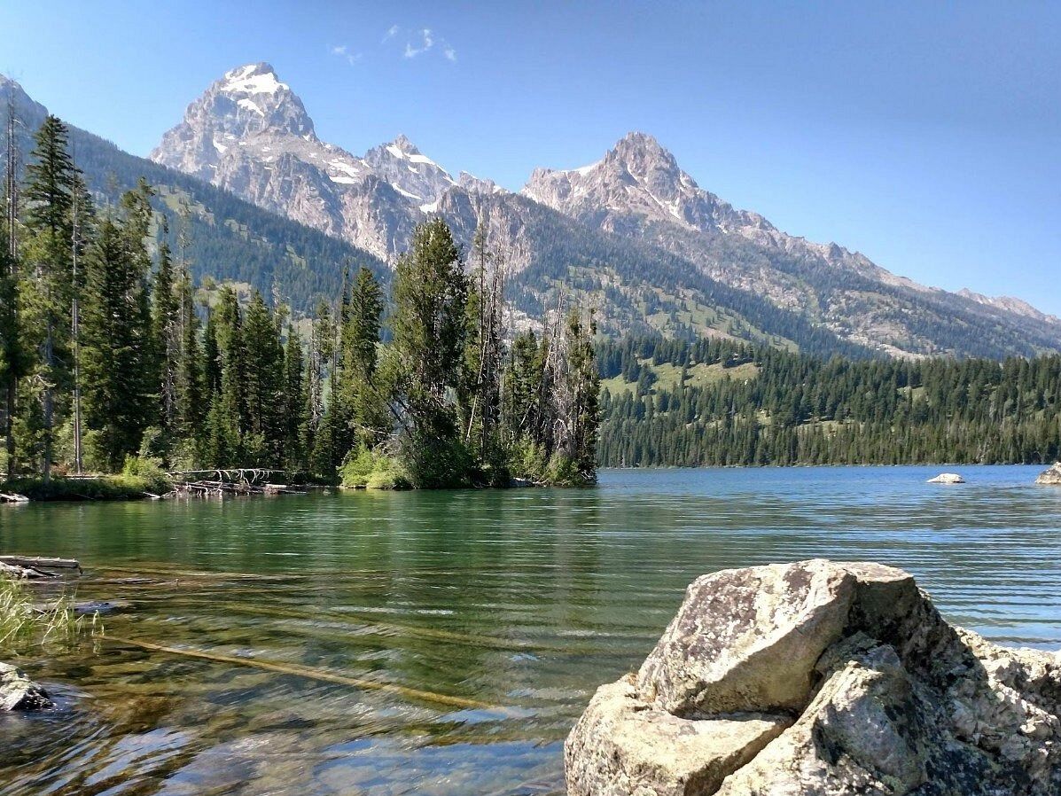 Picture of Grand Teton National Park
