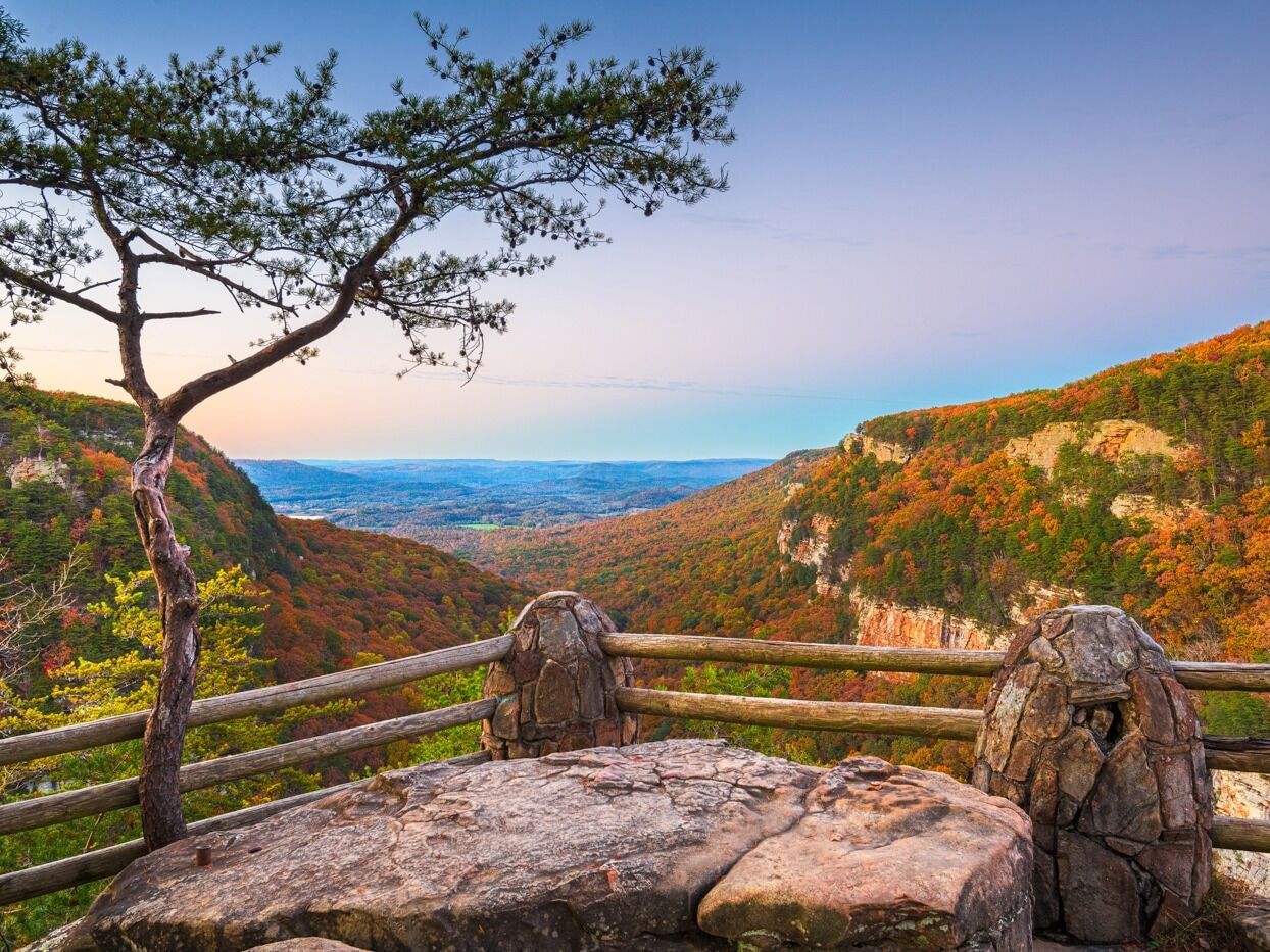 Picture of Cloudland Canyon State Park