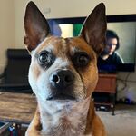 Tucker