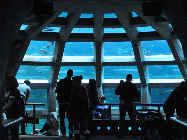 Picture of Seattle Aquarium