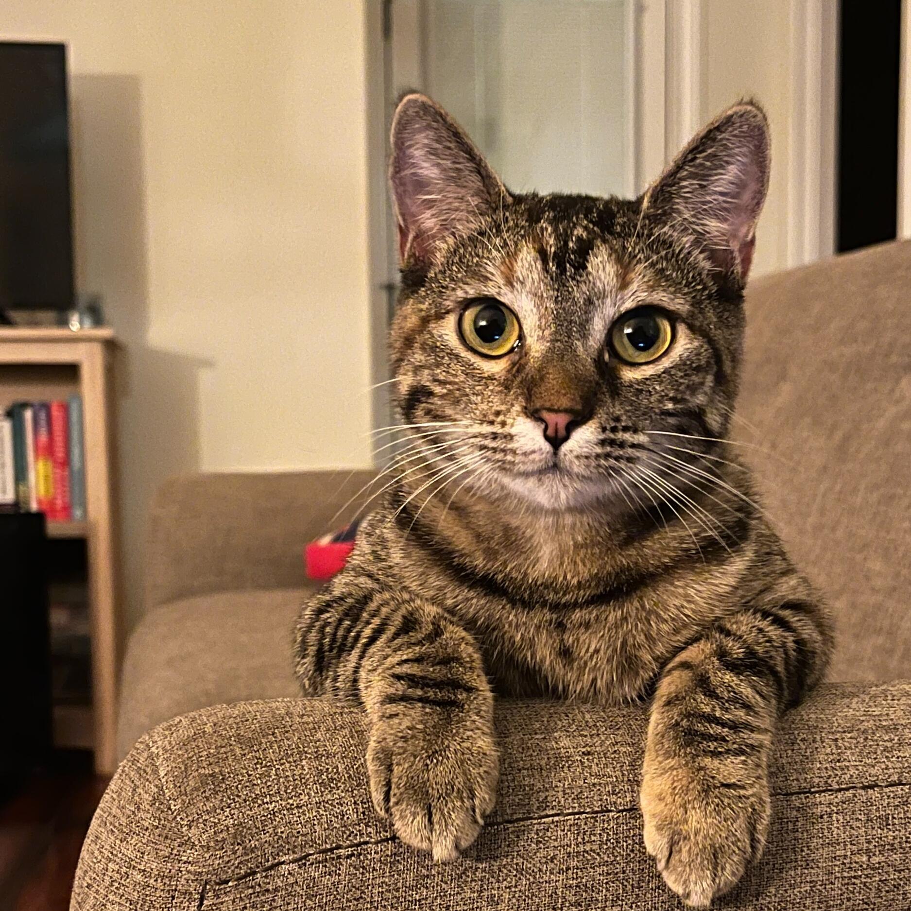 Lucy