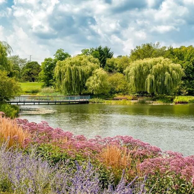 Picture of Chicago Botanic Garden