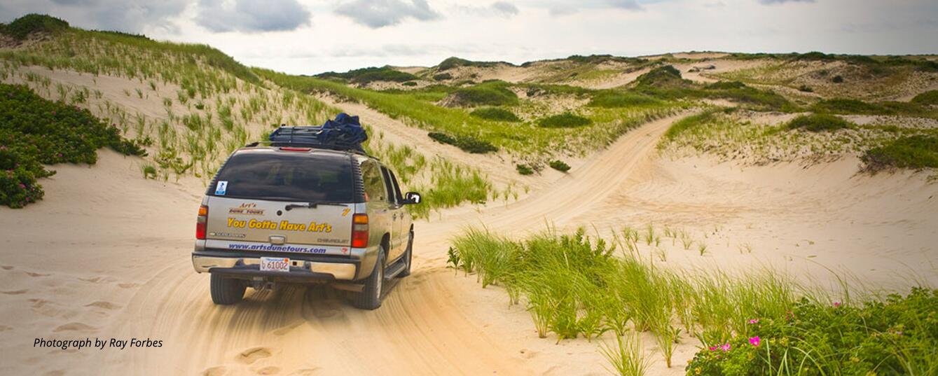 Picture of Art's Dune Tours