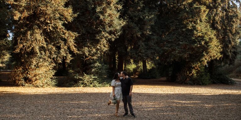 Eric & Alexis Home Page Banner