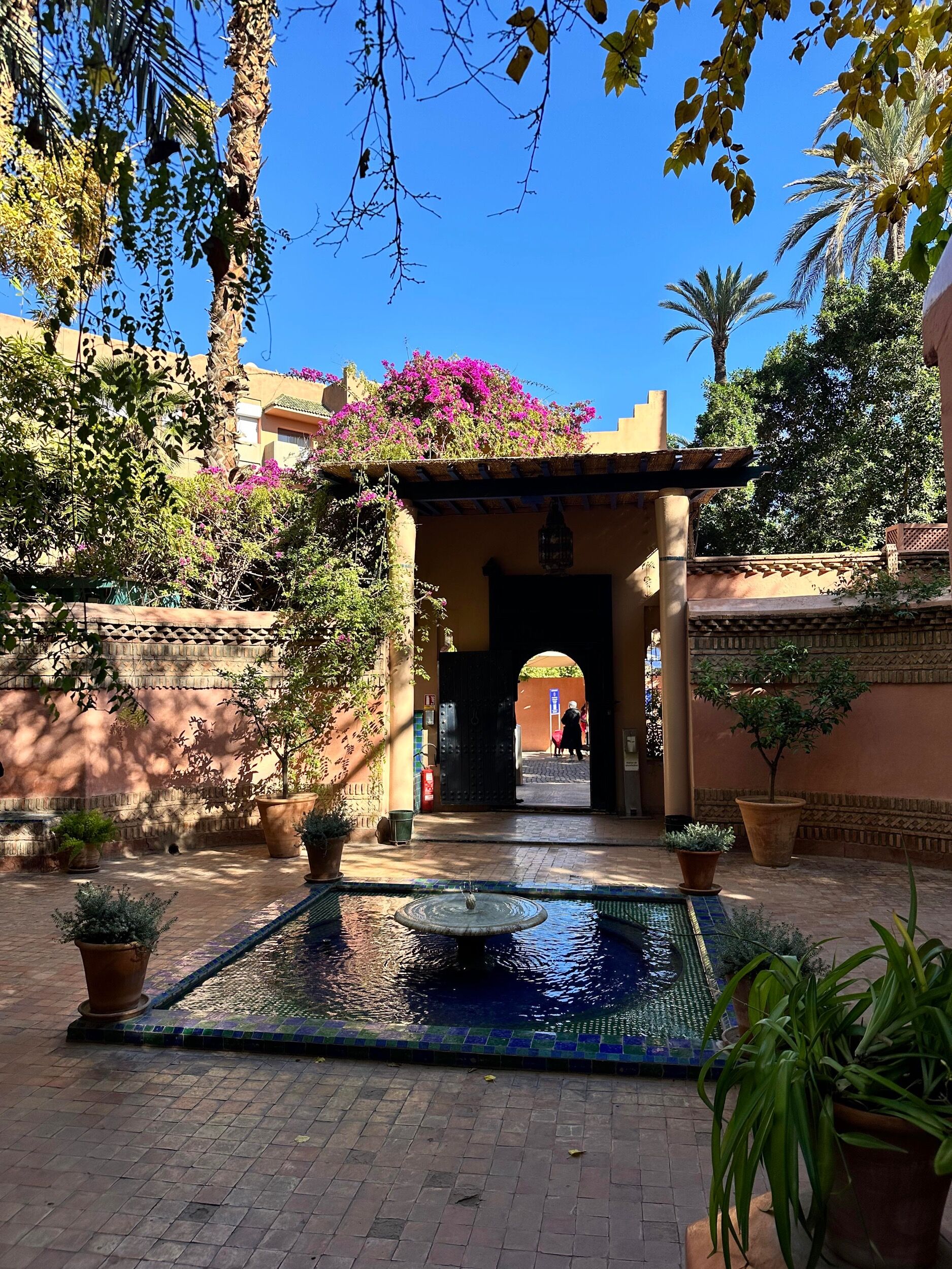 Picture of Jardin Majorelle
