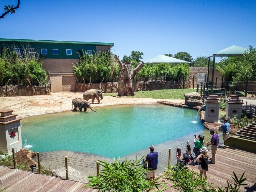 Picture of Houston Zoo & Houston Zoo Lights