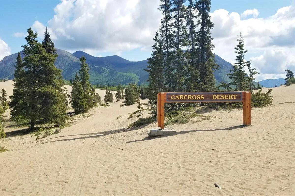 Picture of Carcross Desert