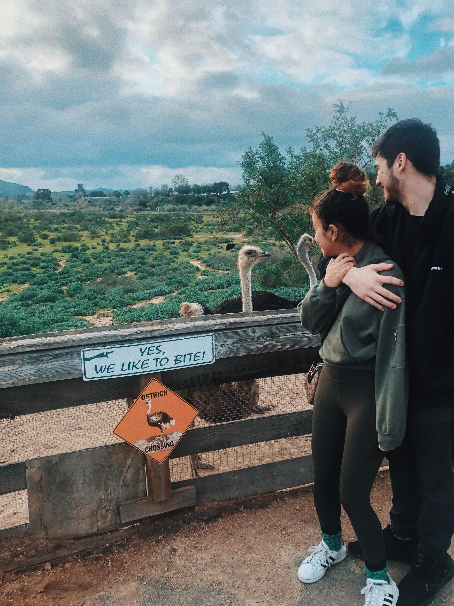 Right before the COVID-19 pandemic, Nadia and Lucas were still seeing each other every 2–3 weeks throughout college. The 300-mile distance between them just meant counting down the days until the next visit.