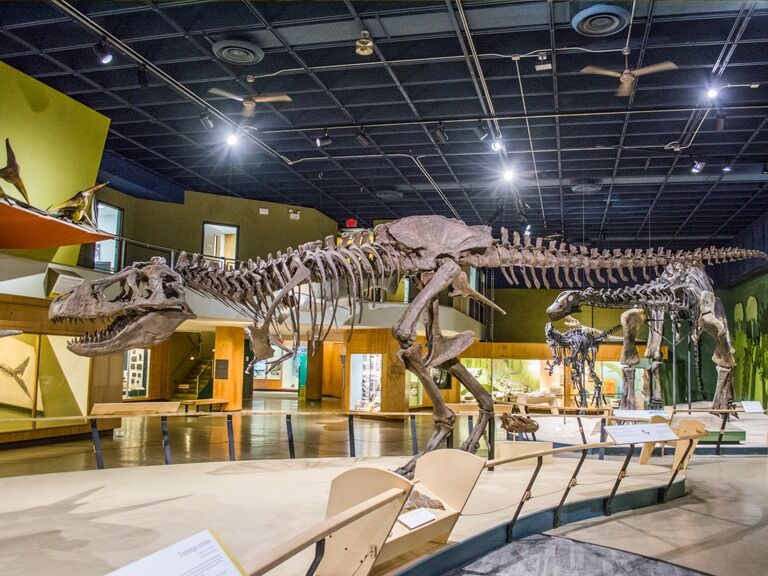 Picture of Cleveland Museum Of Natural History