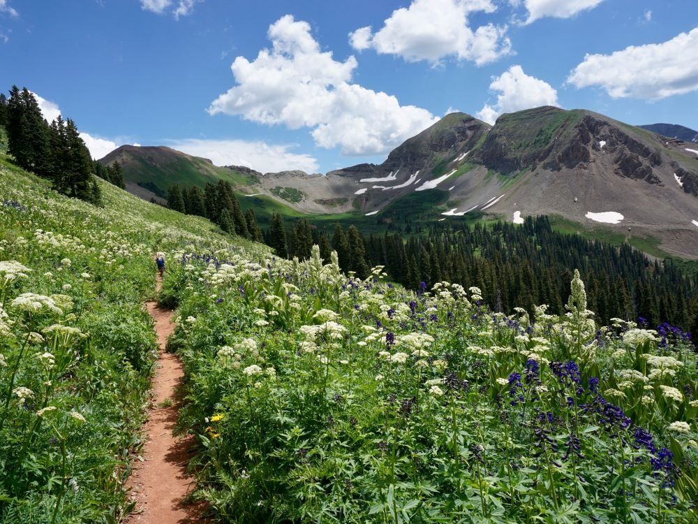 Picture of San Juan National Forest