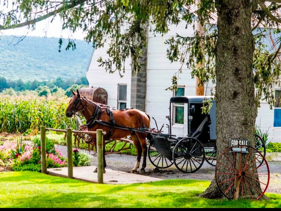 Picture of Amish Experience