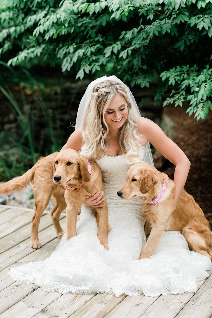 Classic Bride with Golden Retriever Dogs