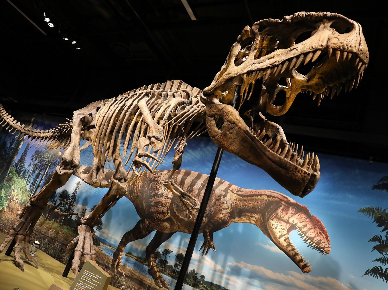 Picture of Denver Museum of Nature & Science