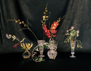 Minimalistic, Unique Floral Arrangements Photographed in Front of Black Linen, Alternative
