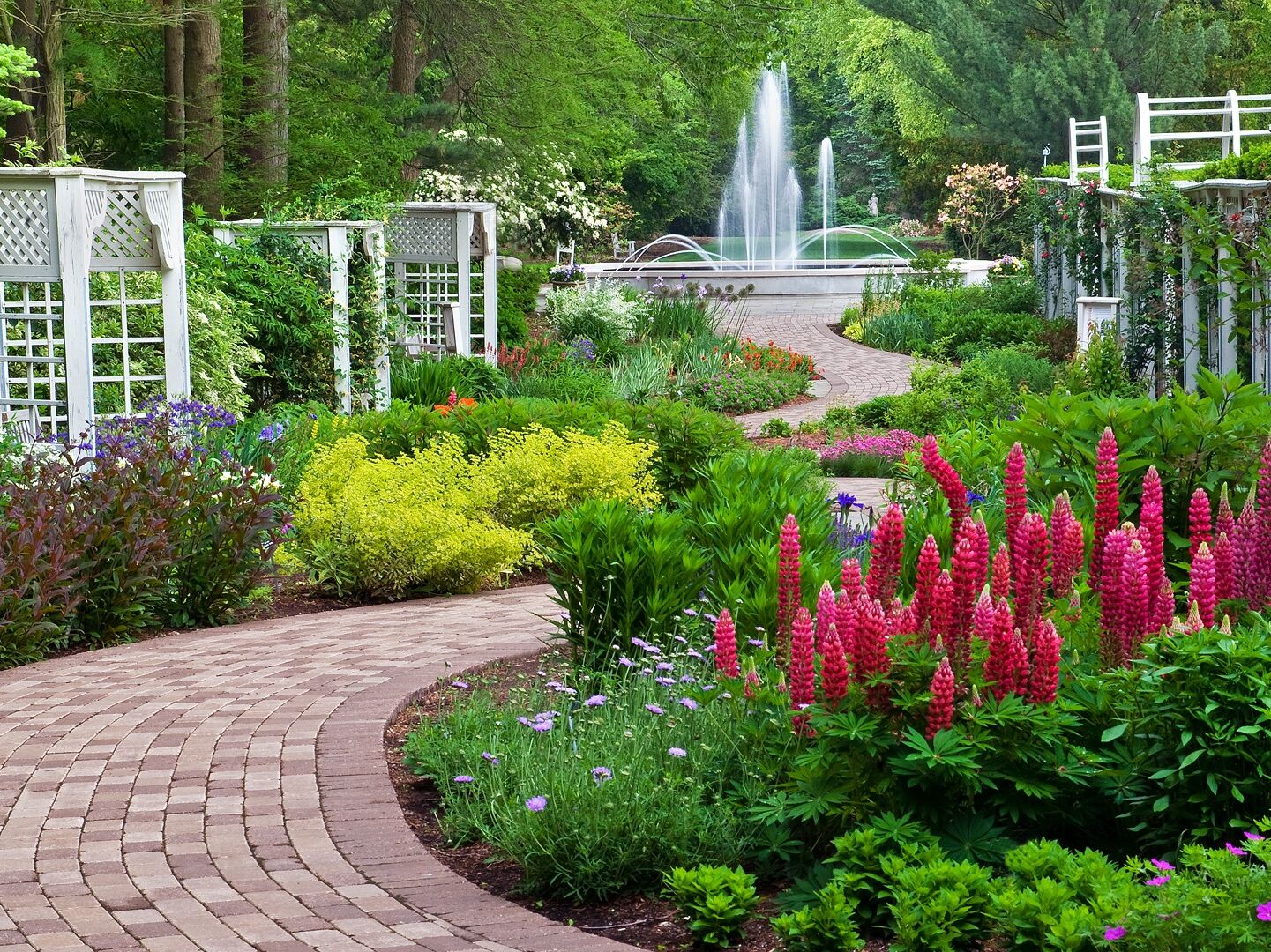 Picture of Fellows Riverside Gardens