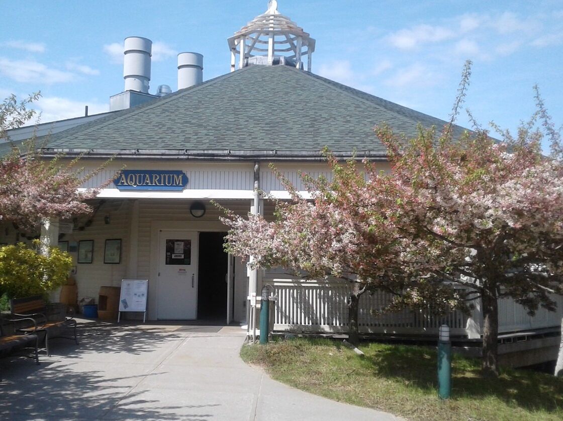 Picture of Maine State Aquarium
