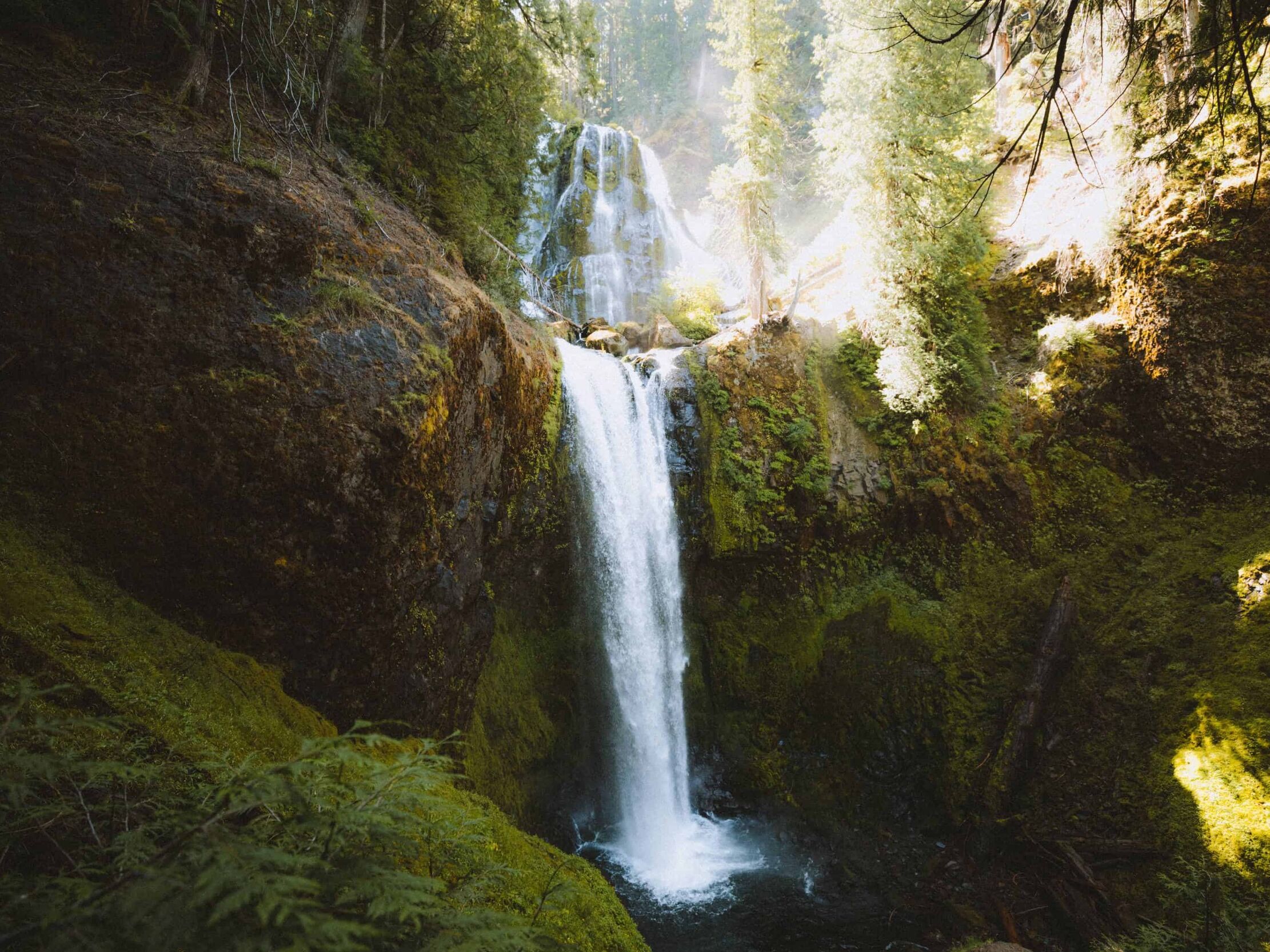 Picture of Falls Creek Falls Trailhead