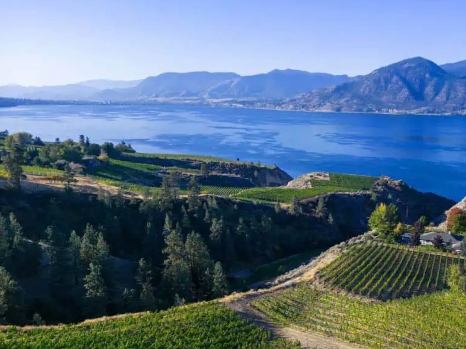 Picture of Wine Tasting